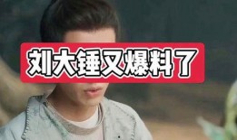 娱乐爆料大锤视频大全最新,揭秘最新视频大全精彩瞬间