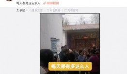 沙河村最新爆料事件视频,视频揭露惊人真相